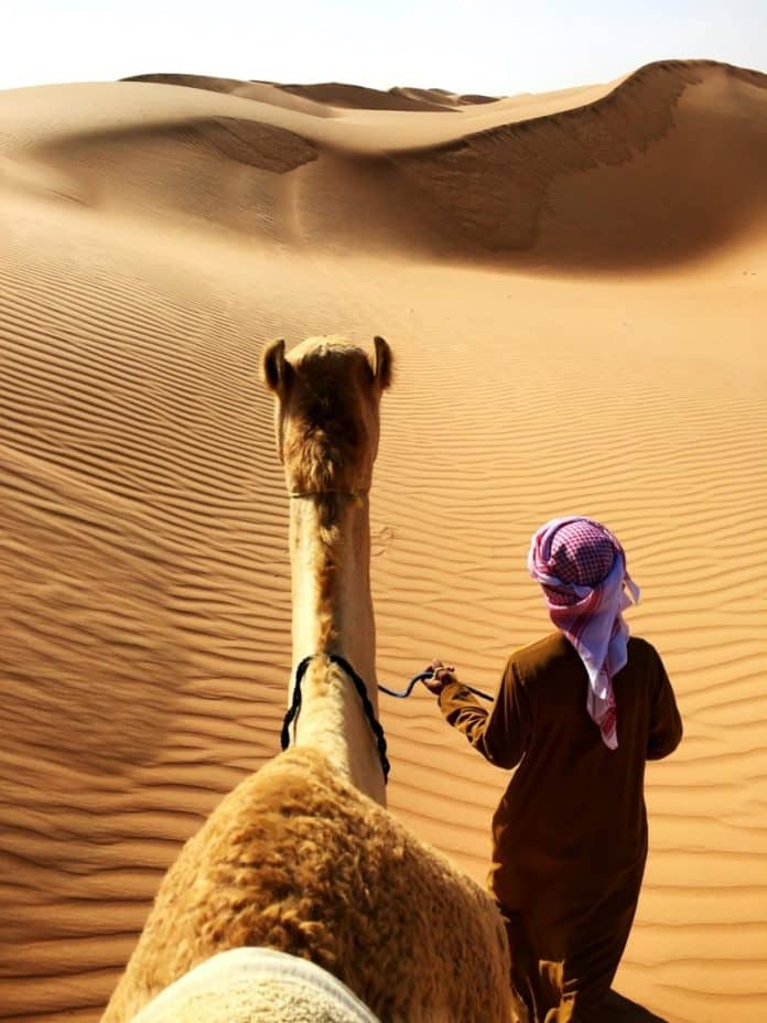kameli-mies-marokko-algeria-hiekkadyynit