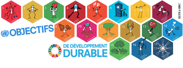 banniere Elyx et les 17 objectifs de développement durable (ODD)