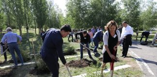Deux personnes plantant des arbres dans une foresterie en Espagne