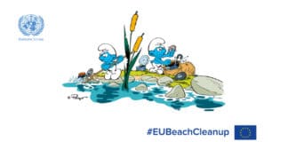 schtroumpf-beach-clean-up-2020-plages