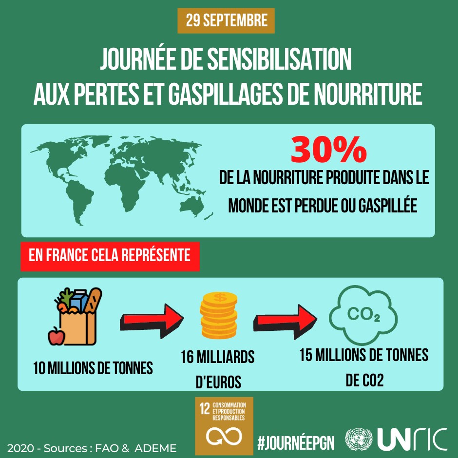 Infographie Gaspillage Alimentaire