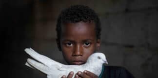 Enfant yéménite tenant une colombe dans ses mains