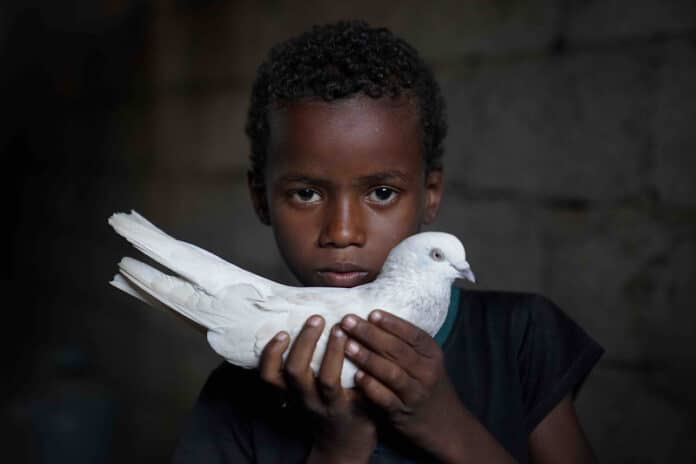 Enfant yéménite tenant une colombe dans ses mains