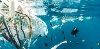 déchets plastiques dans l'océan