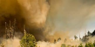 Parmi les records de la saison : des incendies gigantesques au Canada