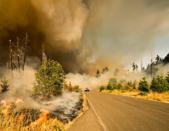 Parmi les records de la saison : des incendies gigantesques au Canada