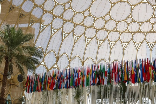 rangée de drapeau à la COP28 à Dubaï