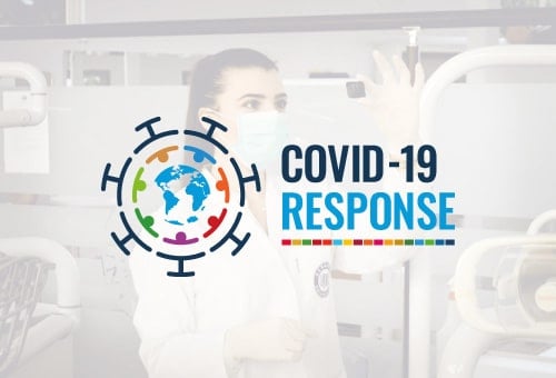 COVID19 RESPONSE banner-ani-kolleshi-unsplash