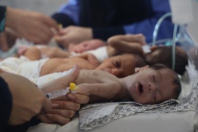 On 19 November 2023, babies rescued from Al-Börn sem bjargað var frá Shifa sjúkrahúsinu og flutt til Al-Helal Al-Emarati spítalans í Rafah í suðurhluta Gasa. Mynd: UNICEF