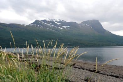 Alþjóðlegi umhverfisdagurinn hefur verið haldinn síðan 1973. Ofotfjorden í Noregi.