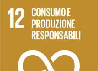 SDG 12 CONSUMO E PRODUZIONE RESPONSABILI