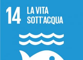 SDG 14 LA VITA SOTT'ACQUA