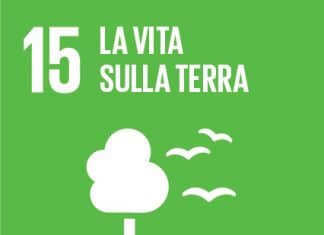 SDG 15 LA VITA SULLA TERRA