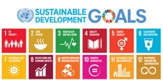 Banner SDG
