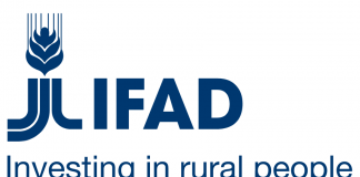 logo ifad
