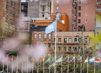 UN View & Flag