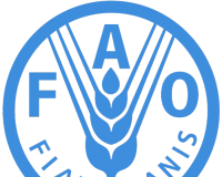 FAO Banner