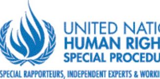 Human Rights Special Procedures