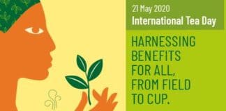 FAO Giornata internazionale del te