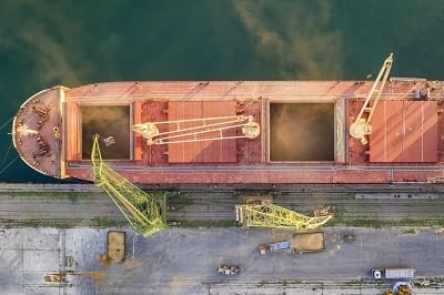 Large ship loading grain for export