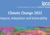IPCC Report