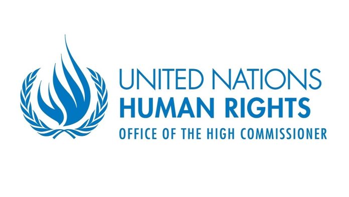 Logo del Consiglio dei Diritti Umani