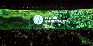 Quindicesima conferenza mondiale sulle foreste (Seoul)