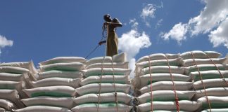 Operai al porto di Dar Es Salaam caricano sacchi di grano su un camion, in Tanzania.