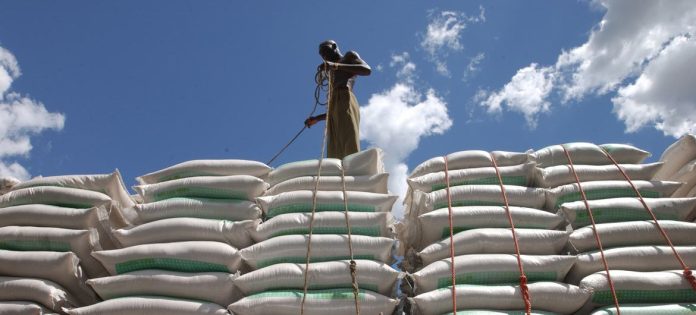 Operai al porto di Dar Es Salaam caricano sacchi di grano su un camion, in Tanzania.