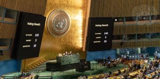 Assemblea Generale Nazioni Unite