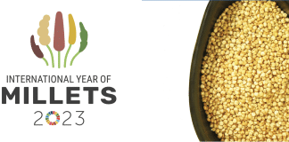 International Year of Millets (IYM 2023)