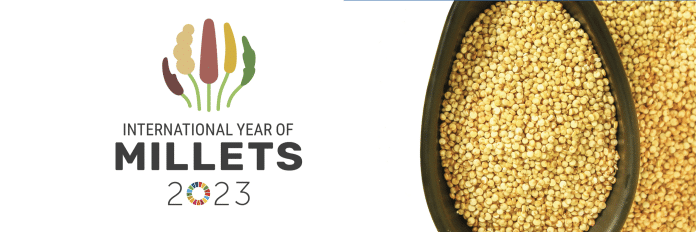International Year of Millets (IYM 2023)