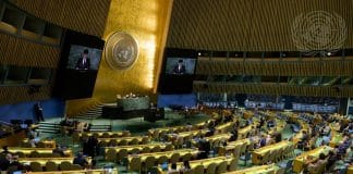 General Assembly Discusses Major UN Conferences and UNEP