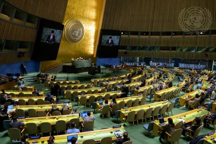 General Assembly Discusses Major UN Conferences and UNEP