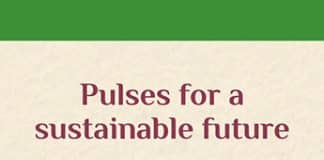 Pulses for a Sustainable Future