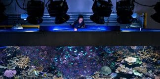 Concorso fotografico Un ricercatore controlla lo stato del Reef Aquarium all'interno del laboratorio dell'Australian Institute of Marine Science.