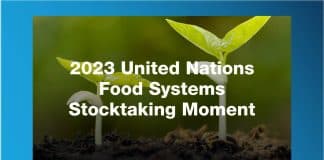 scritta: "2023 United Nations Food Systems Stocktaking Moment"