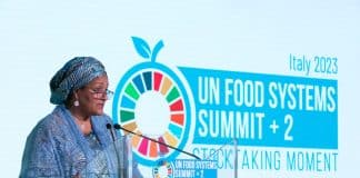 Amina Mohammed parla al Vertice FAO