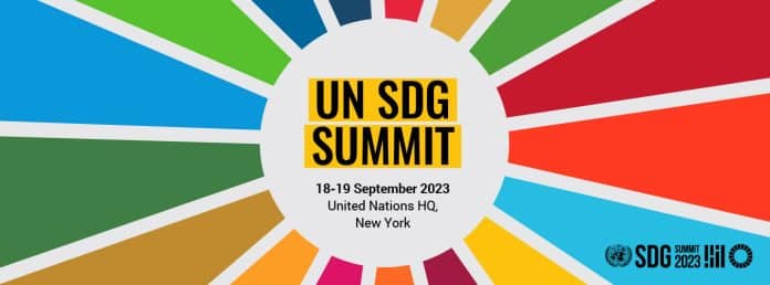 Banner del Vertice SDG