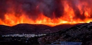 Gli incendi estivi in Grecia. L'analisi di Zita Sebesvari.