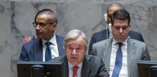 Il Segretario Generale - Osservazioni al Consiglio di Sicurezza sul Medio Oriente. UN Photo/Eskinder Debebe