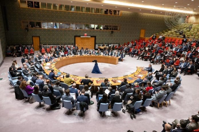 Un'ampia panoramica della riunione del Consiglio di Sicurezza.