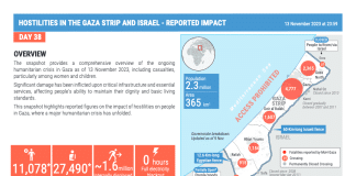 L'infografica fornisce una panoramica completa della crisi umanitaria in corso a Gaza al 13 novembre 2023