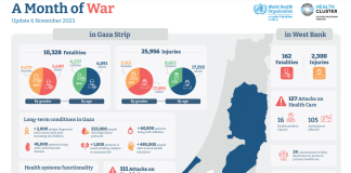Gaza - Un mese di guerra: infografica di OMS e Health Cluster. Fonte: Health Cluster, WHO