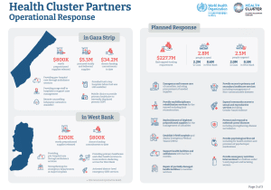 Gaza - Un mese di guerra: infografica di OMS e Health Cluster