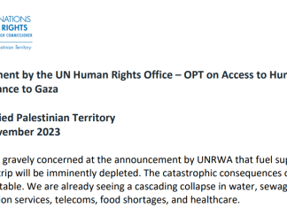 Dichiarazione dell'Ufficio delle Nazioni Unite per i diritti umani sull'accesso all'assistenza umanitaria a Gaza (15 novembre 2023).