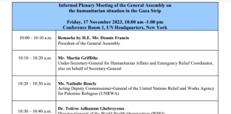 Assemblea Generale: Riunione plenaria informale sulla situazione umanitaria nella Striscia di Gaza (link al webcast ed elenco degli oratori)