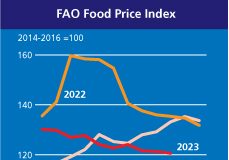 Indice FAO dei prezzi alimentari in calo ad ottobre. Calano le quotazioni internazionali di riso, grano, olio di palma e carne suina.