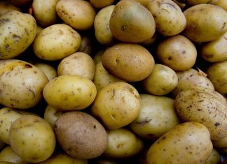 La FAO accoglie con favore la decisione di celebrare la Giornata internazionale della patata ogni anno il 30 maggio