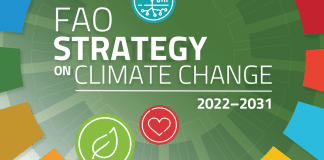 COP28: FAO e Italia rafforzano la collaborazione sull’azione climatica in agricoltura